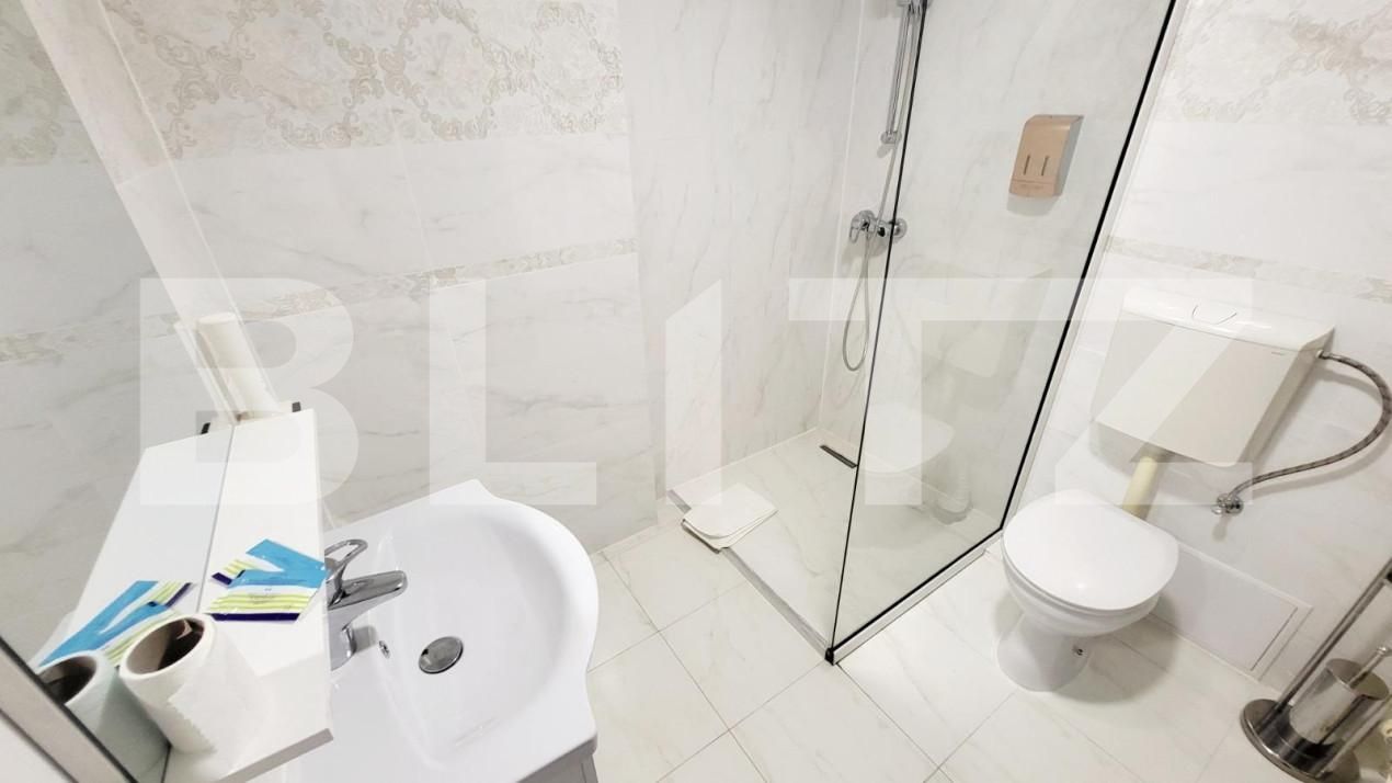 Spațiu comercial de închiriat Ampoi 3 - 165267SIC | BLITZ Alba Iulia | Poza10