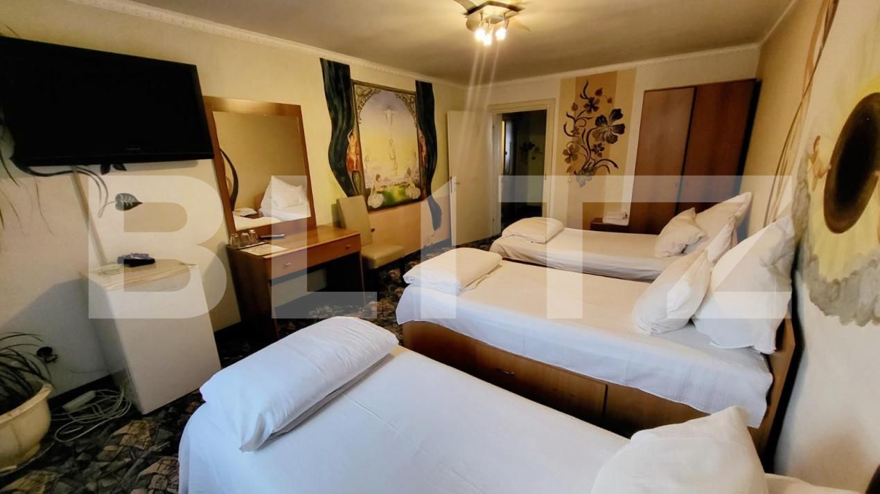 Spațiu comercial de închiriat Ampoi 3 - 165267SIC | BLITZ Alba Iulia | Poza8