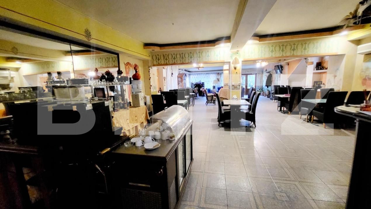 Spațiu comercial de închiriat Ampoi 3 - 165267SIC | BLITZ Alba Iulia | Poza3