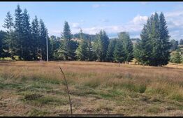 Teren intravilan,4136mp,Sugag