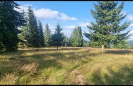 Teren intravilan,4136mp,Sugag