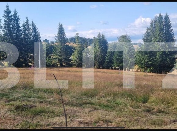 Teren de vânzare Sugag - 165279TV | BLITZ Alba Iulia | Poza1