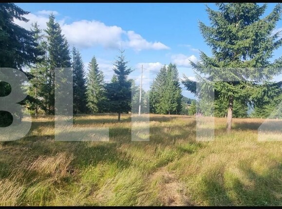 Teren de vânzare Sugag - 165279TV | BLITZ Alba Iulia | Poza2