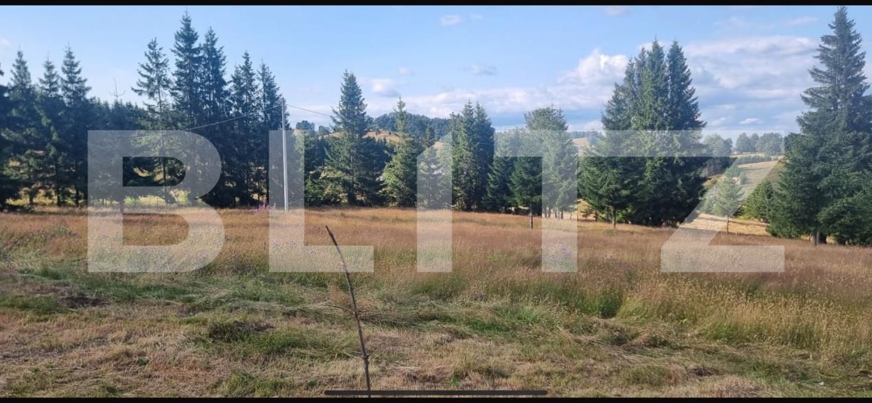 Teren de vânzare Sugag - 165279TV | BLITZ Alba Iulia | Poza1