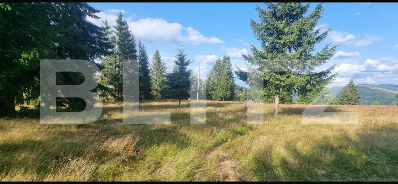 Teren de vânzare Sugag - 165279TV | BLITZ Alba Iulia | Poza2