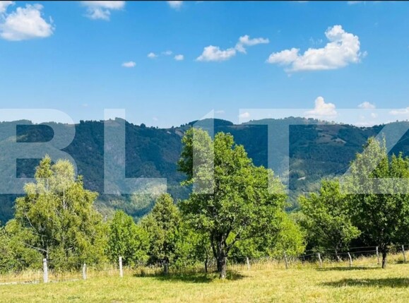 Teren de vânzare Sugag - 165288TV | BLITZ Alba Iulia | Poza1