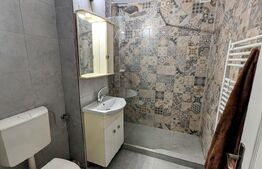 Apartament 2 camere , zona Cetate