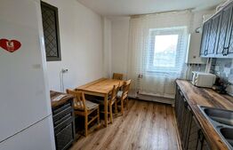 Apartament 2 camere , zona Cetate