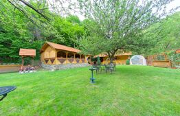 Complex turistic cu 8 cabane,25 de camere,sauna,jacuzzi,ciubar,Sugag