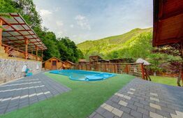 Complex turistic cu 8 cabane,25 de camere,sauna,jacuzzi,ciubar,Sugag