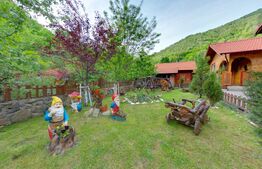 Complex turistic cu 8 cabane,25 de camere,sauna,jacuzzi,ciubar,Sugag