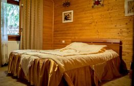 Complex turistic cu 8 cabane,25 de camere,sauna,jacuzzi,ciubar,Sugag