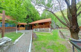 Complex turistic cu 8 cabane,25 de camere,sauna,jacuzzi,ciubar,Sugag