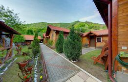 Complex turistic cu 8 cabane,25 de camere,sauna,jacuzzi,ciubar,Sugag