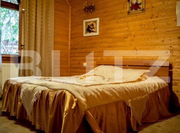 Spațiu comercial de vânzare Sugag - 165472SVC | BLITZ Alba Iulia | Poza10