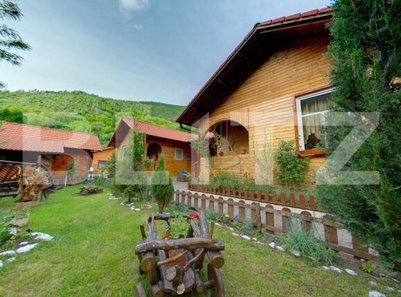 Spațiu comercial de vânzare Sugag - 165472SVC | BLITZ Alba Iulia | Poza1