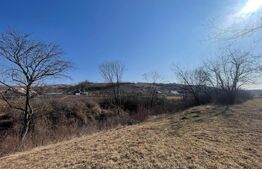 Casa zona Sancel, 8150mp teren