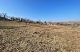 Casa zona Sancel, 8150mp teren