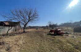 Casa zona Sancel, 8150mp teren