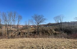 Casa zona Sancel, 8150mp teren