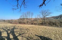 Casa zona Sancel, 8150mp teren