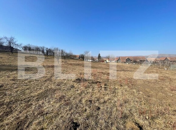 Casa de vânzare 3 camere Blaj - 165539CV | BLITZ Alba Iulia | Poza6