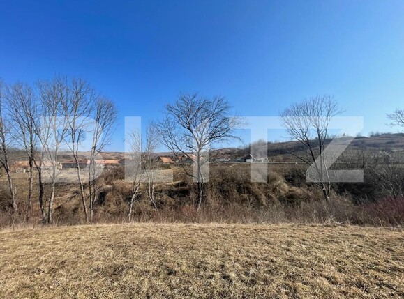 Casa de vânzare 3 camere Blaj - 165539CV | BLITZ Alba Iulia | Poza7