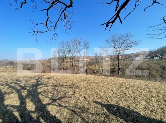 Casa de vânzare 3 camere Blaj - 165539CV | BLITZ Alba Iulia | Poza9