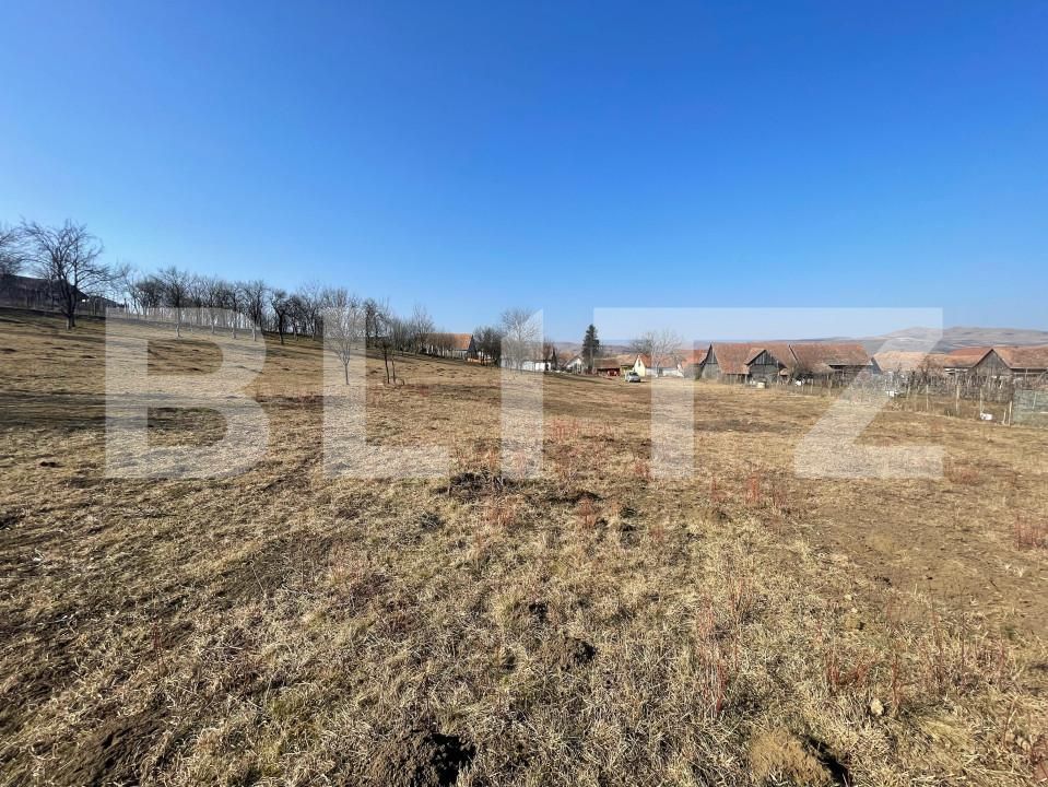 Casa de vânzare 3 camere Blaj - 165539CV | BLITZ Alba Iulia | Poza6