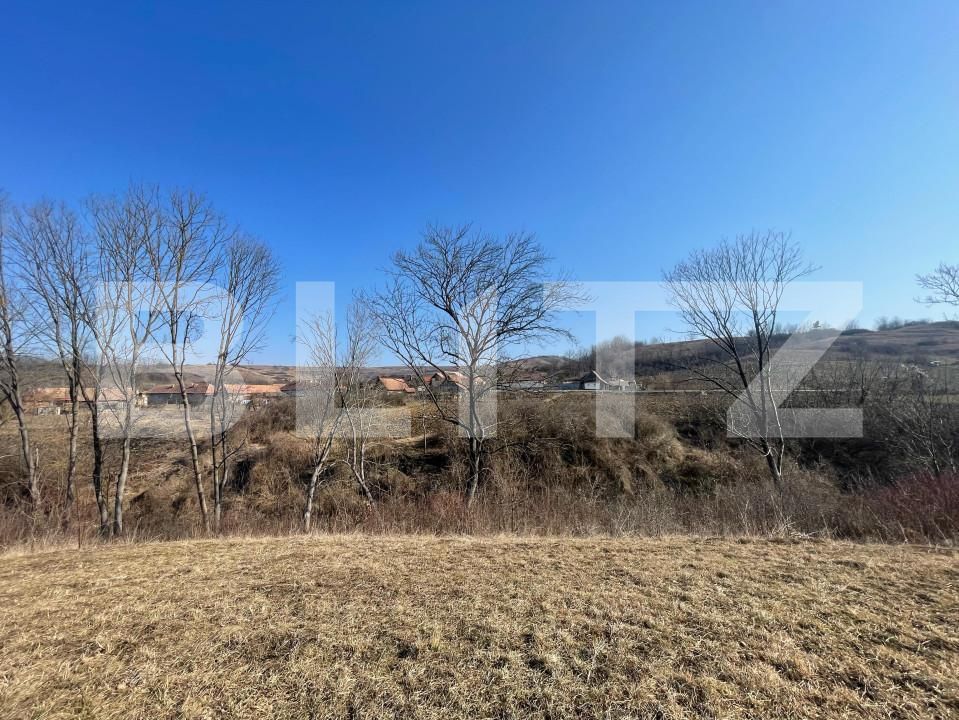 Casa de vânzare 3 camere Blaj - 165539CV | BLITZ Alba Iulia | Poza7