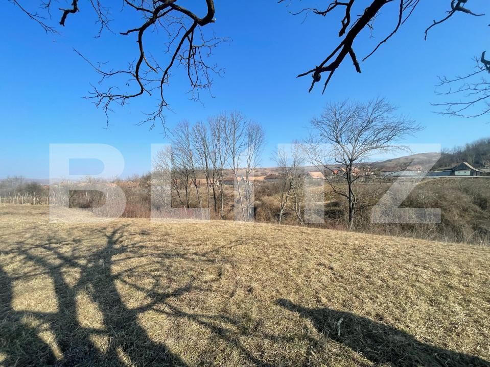 Casa de vânzare 3 camere Blaj - 165539CV | BLITZ Alba Iulia | Poza9