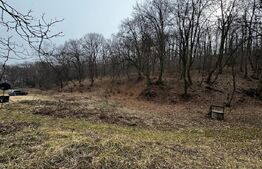 Teren intravilan de vanzare, 1872 mp, zona Valea Popii - Alba Iulia