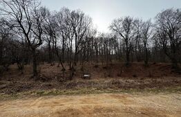 Teren intravilan de vanzare, 1872 mp, zona Valea Popii - Alba Iulia