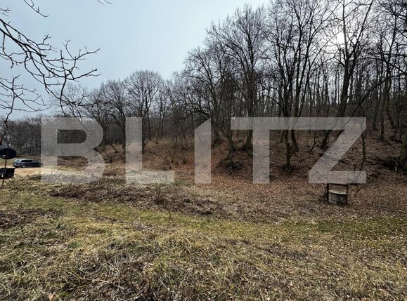 Teren de vânzare Cetate - 165606TV | BLITZ Alba Iulia | Poza4