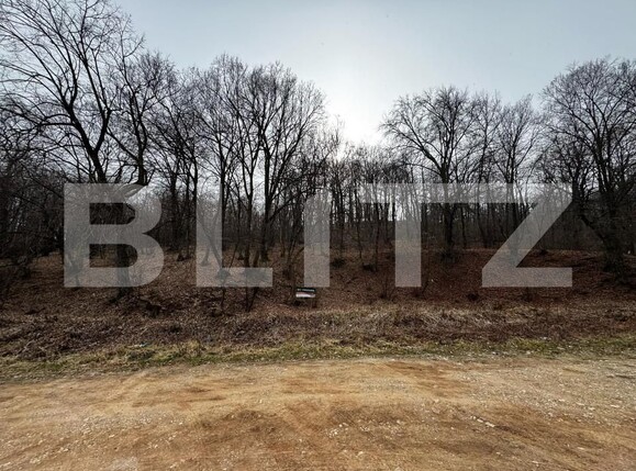 Teren de vânzare Cetate - 165606TV | BLITZ Alba Iulia | Poza1