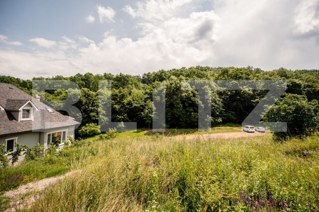 Teren de vânzare Cetate - 165606TV | BLITZ Alba Iulia | Poza2