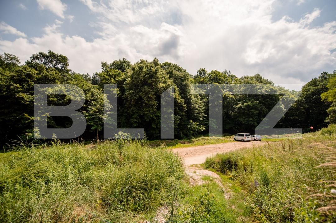 Teren de vânzare Cetate - 165606TV | BLITZ Alba Iulia | Poza3