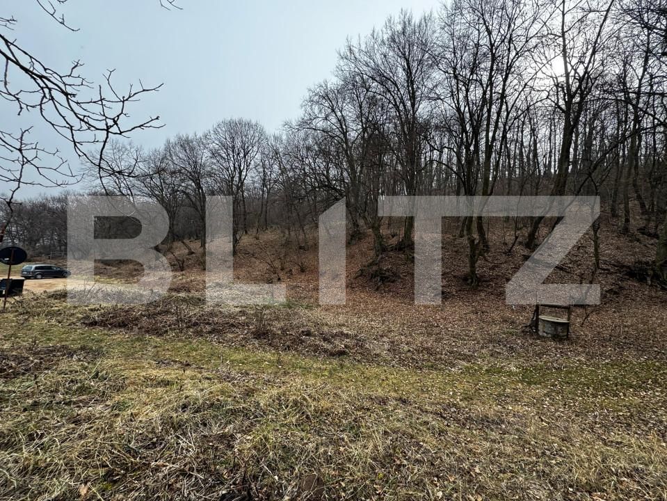 Teren de vânzare Cetate - 165606TV | BLITZ Alba Iulia | Poza4