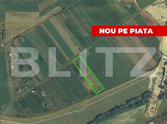 Teren de vânzare Partoș - 165610TV | BLITZ Alba Iulia | Poza1