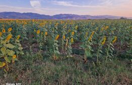 Teren - destinatie industriala, 3 strazi deschidere, 5.7HA