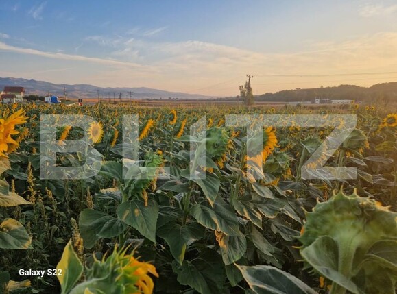 Teren de vânzare Sud - 165719TV | BLITZ Alba Iulia | Poza6