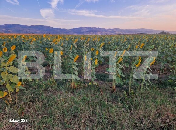Teren de vânzare Sud - 165719TV | BLITZ Alba Iulia | Poza5