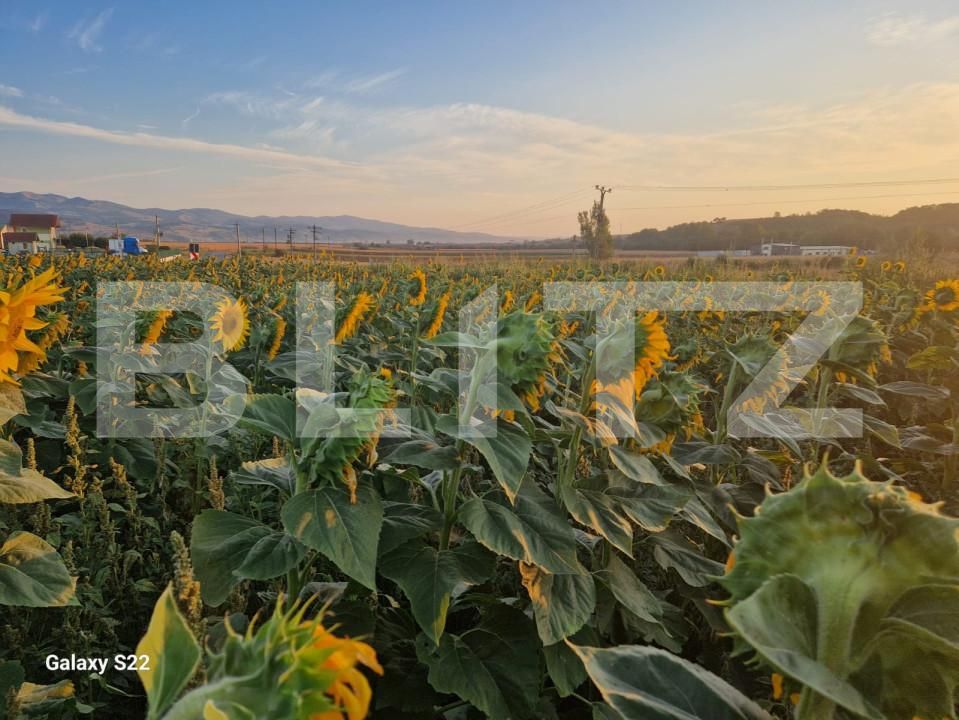 Teren de vânzare Sud - 165719TV | BLITZ Alba Iulia | Poza6