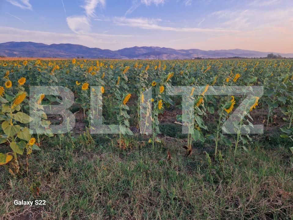 Teren de vânzare Sud - 165719TV | BLITZ Alba Iulia | Poza5