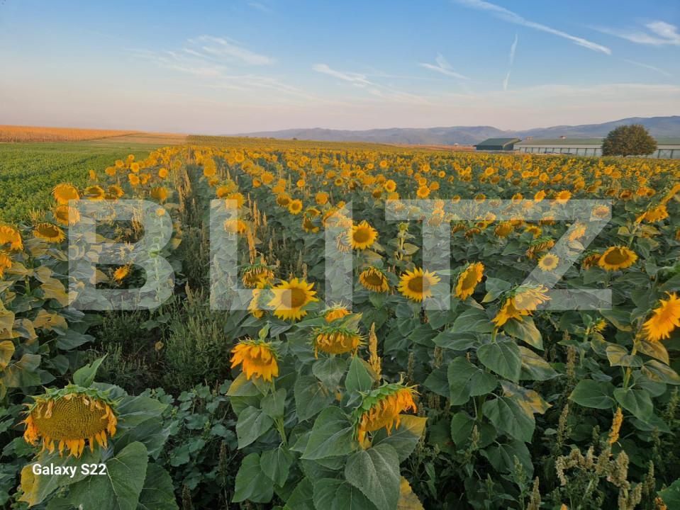 Teren de vânzare Sud - 165719TV | BLITZ Alba Iulia | Poza2