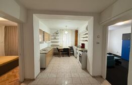 Apartament de vanzare cu 2 camere, 45 mp, zona Cetate