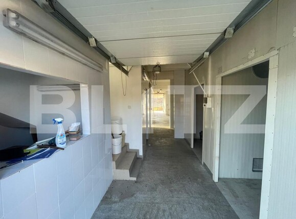 Casa de închiriat 8 camere Ighiu - 166074CI | BLITZ Alba Iulia | Poza9