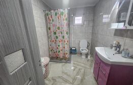 Casa individuala cu 3 camere,130 mp utili,380 mp teren,Sard