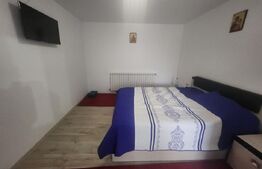 Casa individuala cu 3 camere,130 mp utili,380 mp teren,Sard