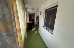 Casa 2 corpuri, 4 camere, teren 1,1ha Comuna Blandiana